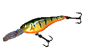 poisson nageur Rapala