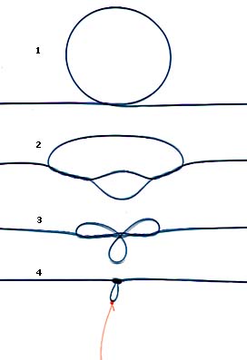 Noeud de potence à boucle