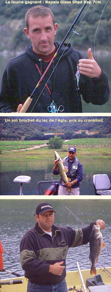 le leurre gagnant, un Rapala Glass Shad Rap