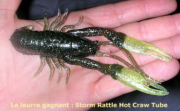 Storm Rattle Hot craw Tube : le leurre des vainqueurs.