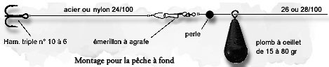 Montage pour la pche au vif  fond