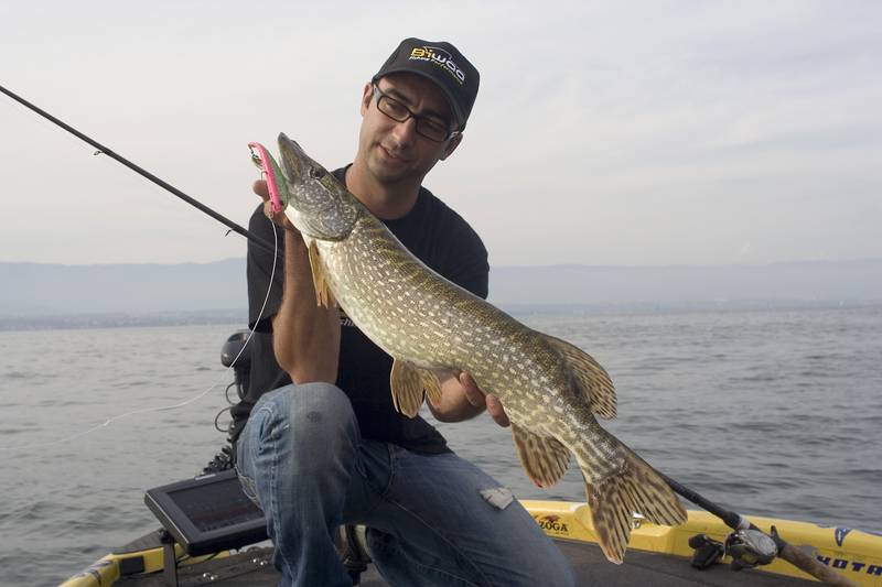 Le fluorocarbone, une affaire de discrétion en matière de fil de pêche