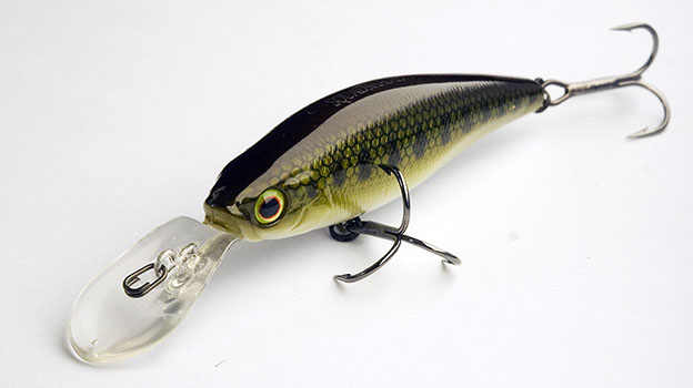 Illex Squad shad 65 0005