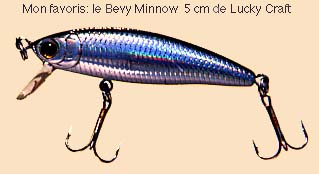 Bevy Minnow de Lucky Craft