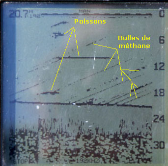 échos de bulles de méthane