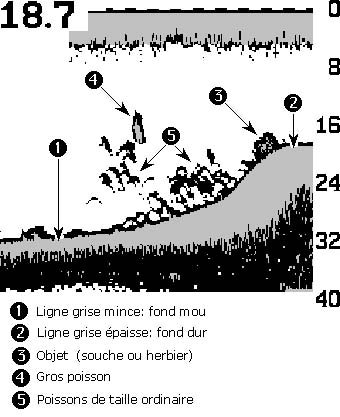 Exemple de vue d'écran et de ligne grise