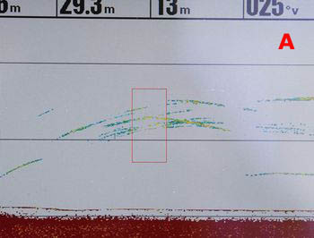 Attnuation du signal par un filtrage trop important