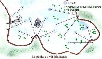 La pêche au vif  le brochet