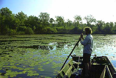 Mauvais secteur pour le stickbait