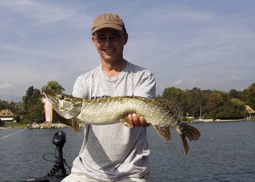 Petit brochet, mais mon premier au Divinator