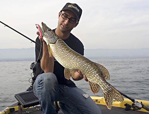 Pêche du brochet sur le lac Léman