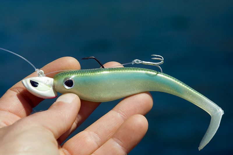 La pêche du brochet au leurre souple avec Sylvain Legendre