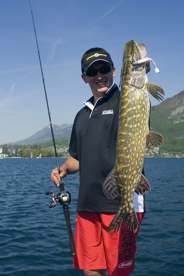 Brochet aux leurres souples