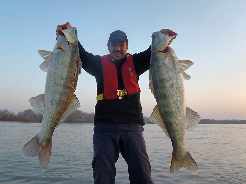 Pêche des carnassiers avec des montages tandem