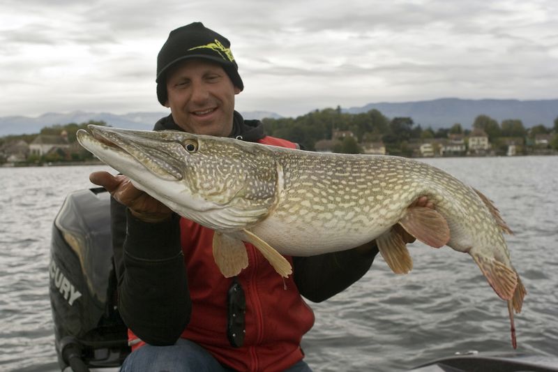 La pêche du brochet au Divinator sur le lac Léman avec Mathieu Alexandre