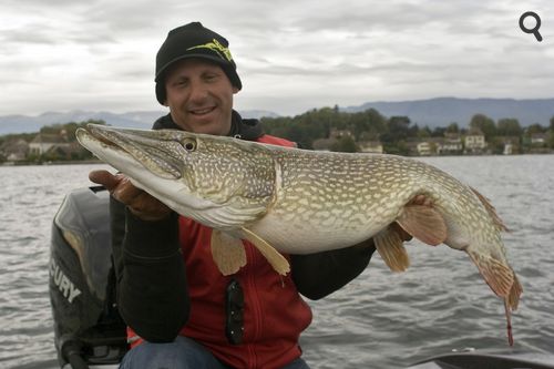 Arnaud Fileppi et un gros brochet du lac Léman