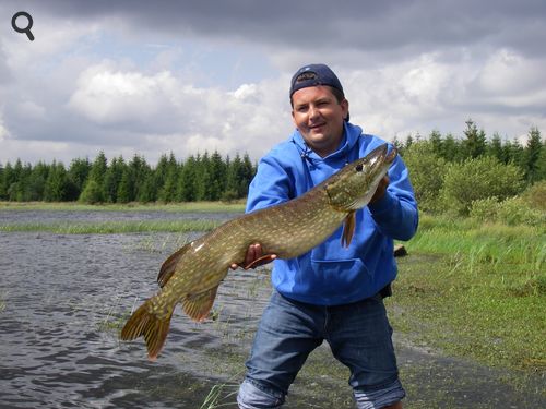 brochet pris au leurre souple