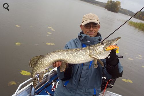 brochet pris au leurre souple