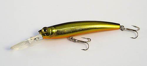 longbill minnow