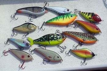 Différents modèles de jerkbaits