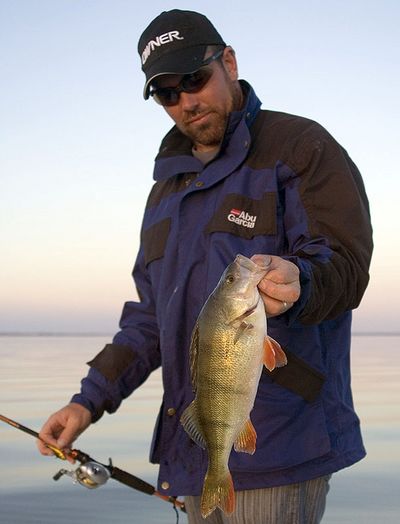 Un lipless crankbait lourd permet de pêcher vite et profond