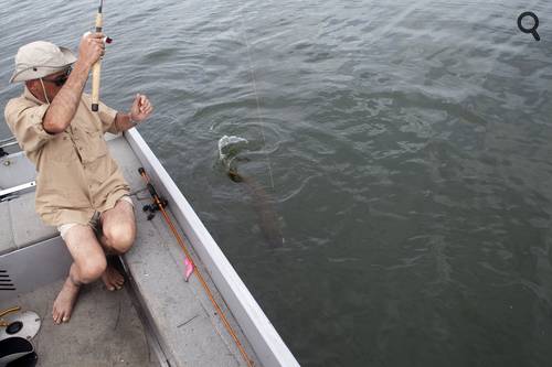 brochet encore trop vigoureux