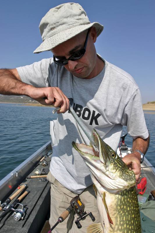 Les accessoires indispensables du pêcheur de brochet - Peche et Poissons