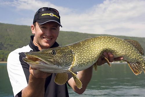 Brochet en plein soleil et en eau profonde