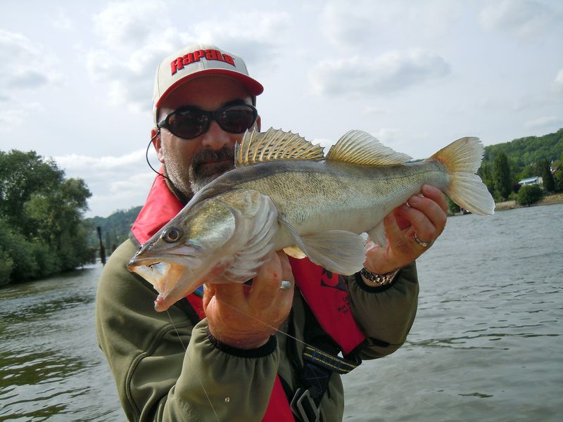 Pêche au jig: comment pêcher brochet, sandre et bar ? Jig casting