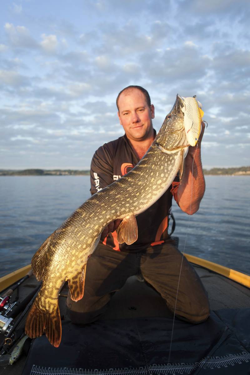 Choisir la taille de ses leurres pour le brochet