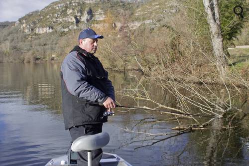 pêche au drop vif dans les branches