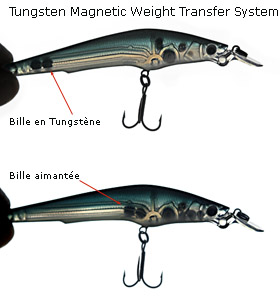 Tungsten Magnetic Weight Transfer System