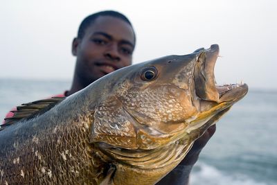 Carpe noire prise en surf casting