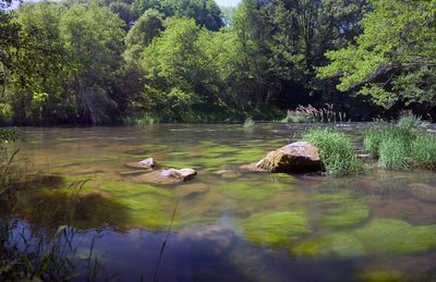 La cère en aval du barrage de saint etienne cantales