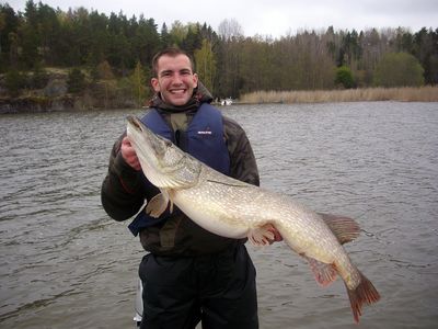 Un brochet de 1,12 m, très gras