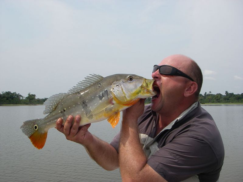 Tresse pêche - Tous les fils de Pêche au Meilleur Prix ! -  -  Dingue d'eau, comme vous !