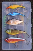 jerkbaits : Buster Jerk, Salmo Slider, Zalt